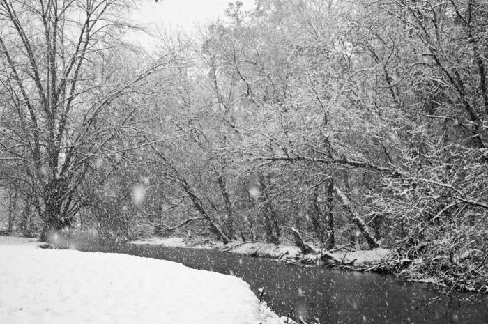 Quittie Creek